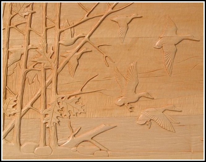 Duck picture close up